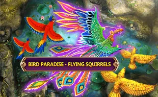 JOK Bird Paradise